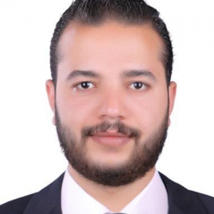 Helmy Mohamed-Freelancer in Nasr City,Egypt