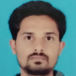 Mahesh Dhokane-Freelancer in Gopalpur,India