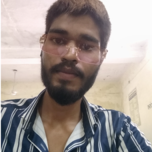 Vishal Meena-Freelancer in Sawai Madhopur,India