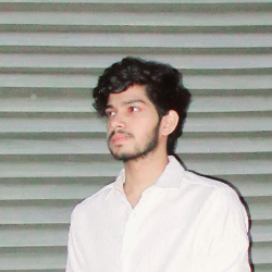 Mohammed Etesam-Freelancer in Bhubaneswar,India