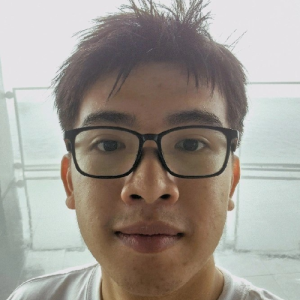 Le Van Phu (Finn)-Freelancer in ,Vietnam