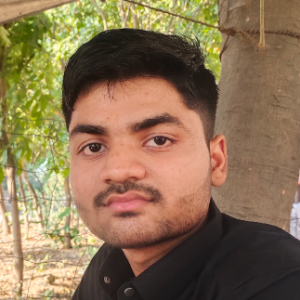 priyanshu Kumawat-Freelancer in Jaipur,India