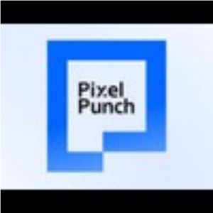 Pixelpunch-Freelancer in CA,India