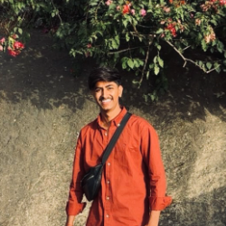 Devendra Vankar-Freelancer in Vadodara,India