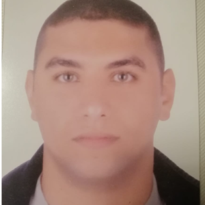Ahmed Dahroug-Freelancer in ,Egypt