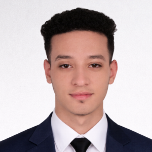 Hamed Wahba-Freelancer in ,Egypt