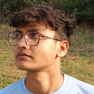 Krishna Bhardwaj-Freelancer in Bhagalpur,India