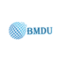 Bm Digital Utilization-Freelancer in Noida,India