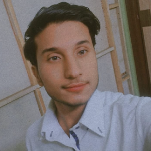 Ritik Hans-Freelancer in Sonipat,India