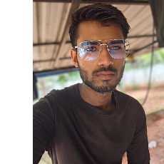 Ankit Kumar-Freelancer in Kattangal,India