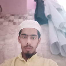Hafiz Arman Ansari-Freelancer in New Delhi,India