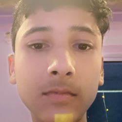 Parth Verma-Freelancer in Kanpur,India