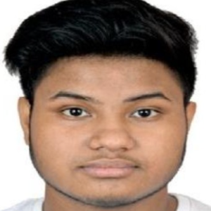 Rimesh Bhowmick-Freelancer in Baranagar,India