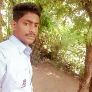 Manikandan-Freelancer in ponneri,India