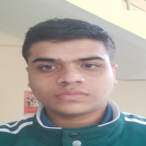 Ishu Rajput-Freelancer in New Delhi,India