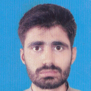 Muhammad Mubashir Mirza-Freelancer in Qasba Gujrat,Pakistan