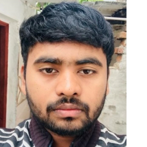 Prabhat Shrivastav-Freelancer in GONDIA,India