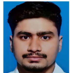 Niraj Kumar-Freelancer in Patna,India