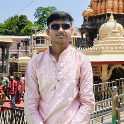 Piyush Sahu-Freelancer in Durg,India