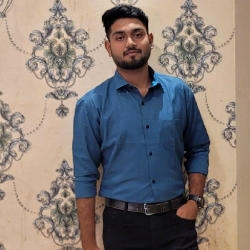 Ayush Raj-Freelancer in Delhi,India