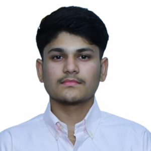 Ramit Kumar-Freelancer in Sahibzada Ajit Singh Nagar,India