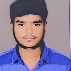Ayush Gautam-Freelancer in ,India
