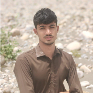 Ahmad Hassan-Freelancer in Dera Ghazi Khan,Pakistan