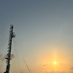 Suhana Ashik-Freelancer in Vazhakulam,India