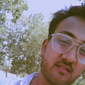 Anant Sharma-Freelancer in Patti,India