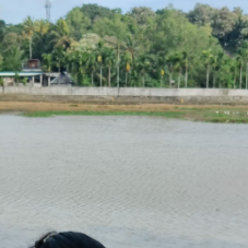 Malu S-Freelancer in Thiruvananthapuram,India