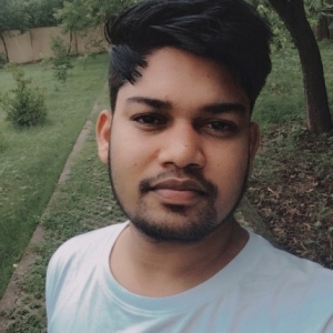 Nikhil Kumar-Freelancer in Bhilai,India