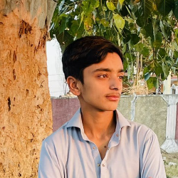Raja Rehan Rehan-Freelancer in ,Pakistan