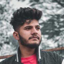 Sen Manish-Freelancer in Rajgarh,India