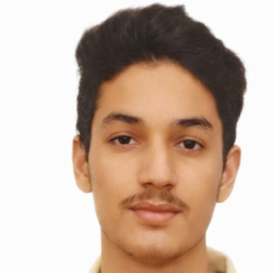 Ansh Parashar-Freelancer in Dankaur,India