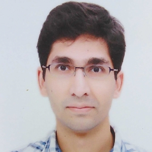 Nitin Vikram-Freelancer in ,India