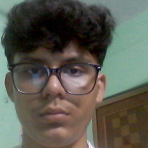 Naitik Singh-Freelancer in Durgapur west bengal,India