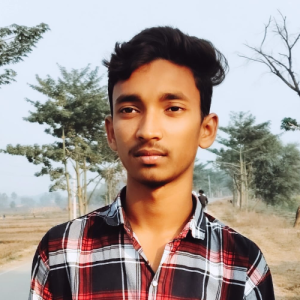 Ritik Kumar-Freelancer in Patna,India