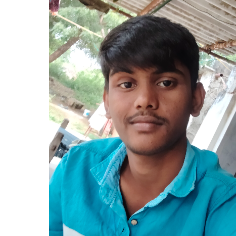 Sunny Naidu33-Freelancer in NELLORE,India