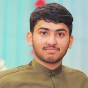 Saksham Singh-Freelancer in Jaipur,India