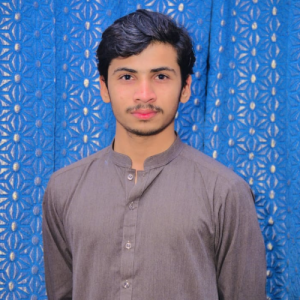 Arslan Ali-Freelancer in Ārifwāla,Pakistan