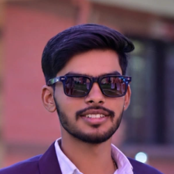 Hitesh Sancheti-Freelancer in Supe,India