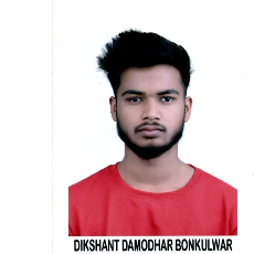 Dikshant Bonkulwar-Freelancer in Rajoli Mul Chandrpur,India