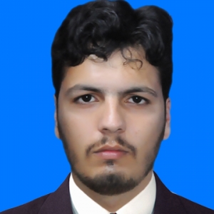 Mohsin Ali Raja-Freelancer in Rawalpindi,Pakistan