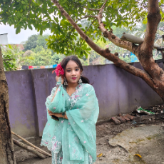 Israt Freelancer-Freelancer in Narayanganj Bangladesh,Bangladesh