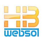 Hb Websol-Freelancer in Indore,India