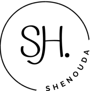 Shenouda Safin-Freelancer in Egypt,Egypt