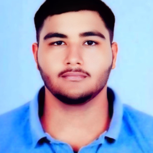 Harsh Chaudhary-Freelancer in Palwal,India