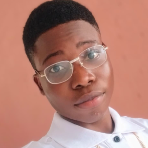 Israel Oluwatomisin-Freelancer in Lagos,Nigeria