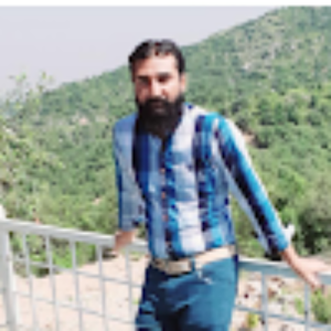 Ali Bajwa-Freelancer in ,Pakistan