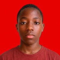 Aliu Muhammed-Freelancer in Ilorin East,Nigeria